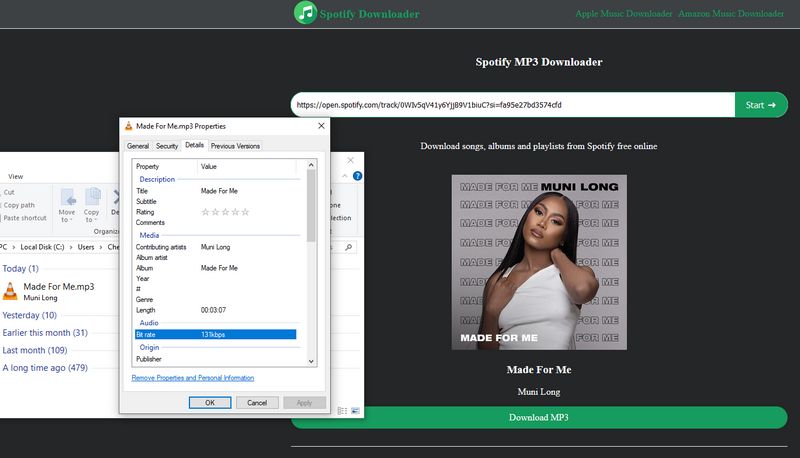 spotifydownloadorg online spotify downloader